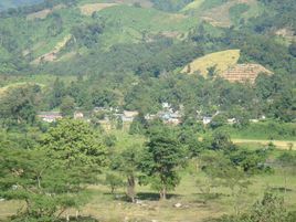 瓦蕉自然村 瓦蕉自然村