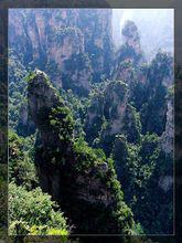 袁家界春夏季節的風景