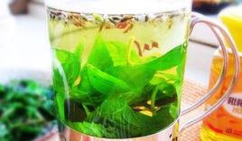 薰衣草薄荷茶 薰衣草薄荷茶