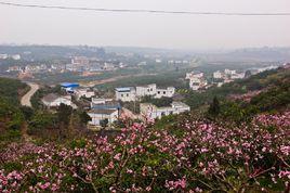 梅灣村[河南省杞縣邢口鎮下轄村]