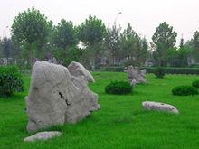 張店區實驗中學