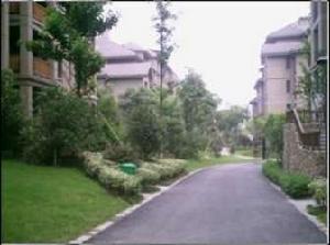 良渚文化村竹徑茶語 良渚文化村竹徑茶語