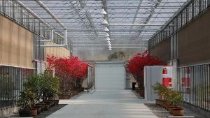 黃龍壹號生態園