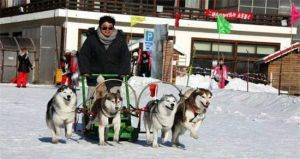 朝陽公園小馬冰雪奇園