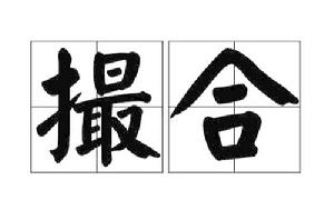 撮合[漢語辭彙]