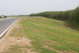 無為大堤 無為大堤