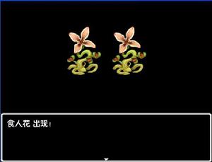 隨機遇敵 隨機遇敵