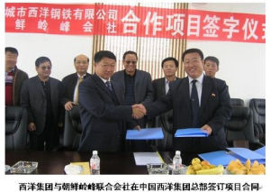 西洋集團與朝鮮合作