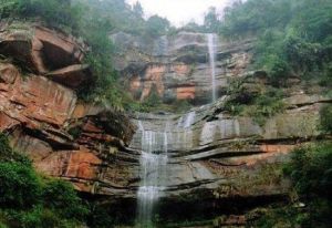 杉王景區 杉王景區