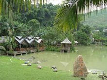 西雙版納原始森林公園