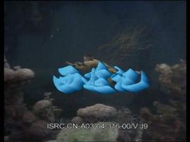 留不住去也難 留不住去也難