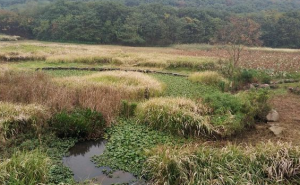 廬陵文化生態園