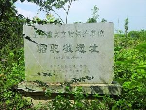 宜興駱駝墩遺址 宜興駱駝墩遺址