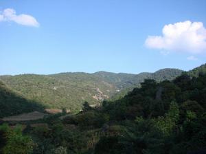 乾溝箐村[雲南省昆明市富民縣款莊鄉下轄村]