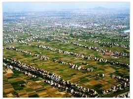 集體土地 集體土地