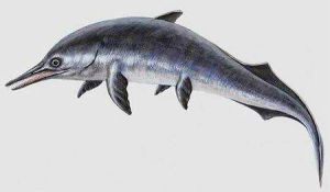 周氏黔魚龍 周氏黔魚龍