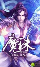 魔珠 魔珠