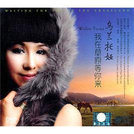 月光下的氈房 月光下的氈房