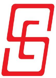 日星電子公司 日星電子公司