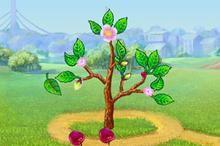 種植遊戲 種植遊戲