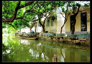 小洲村嶺南水鄉 小洲村嶺南水鄉