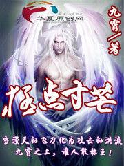 極點寸芒 極點寸芒