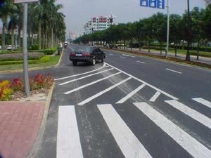 決策視距 決策視距