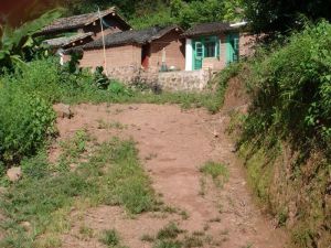 豹井箐自然村 豹井箐自然村