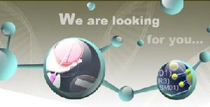 美國康尼格拉集團