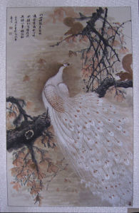 孔雀松鼠圖