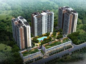 福樂多花園 福樂多花園