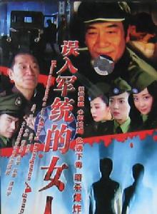 誤入軍統的女人[2006年劉澍執導電視劇]