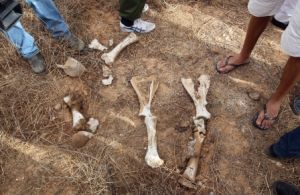 阿布&middot;薩利姆監獄大屠殺