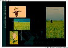 傑羅姆·大衛·塞林格