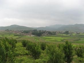 長衝下村 長衝下村