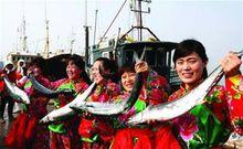 一年一度的鮁魚節