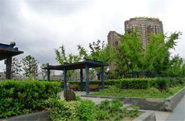 中興公園[祁陽中興公園]