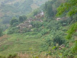 徐卡村委會 徐卡村委會