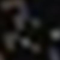 HR 7505 RASS 彩色圖