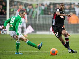 法比恩·萊莫伊尼 法比恩·萊莫伊尼