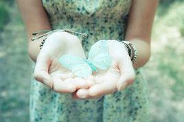 蝴蝶生態牧場 蝴蝶生態牧場