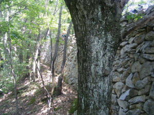 唐王寨遺址 唐王寨遺址