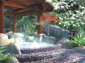 溫泉鎮[雲南安寧市溫泉鎮]