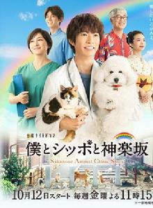 我與尾巴與神樂坂 我與尾巴與神樂坂