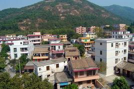 龍石村[廣東中山市五桂山區下轄村]