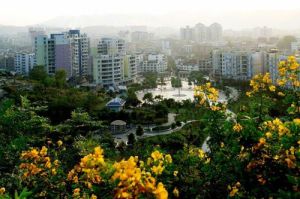 南川區花山公園 南川區花山公園
