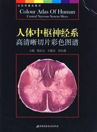 中樞神經系 中樞神經系