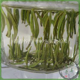 水西翠柏 水西翠柏