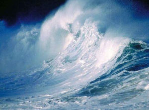 十大自然危機 十大自然危機