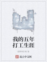 我的五年打工生涯 我的五年打工生涯